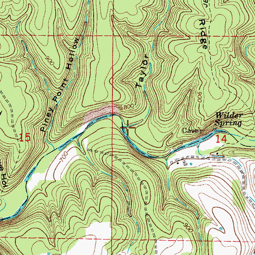 Topographic Map of Taylor Hollow, MO