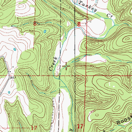 Topographic Map of Thompson Hollow, MO