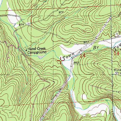 Topographic Map of Town Branch, MO
