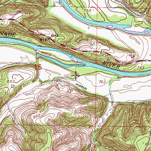 Topographic Map of Trower Hollow, MO