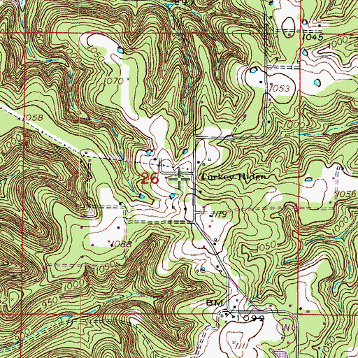Topographic Map of Turkey Ridge, MO