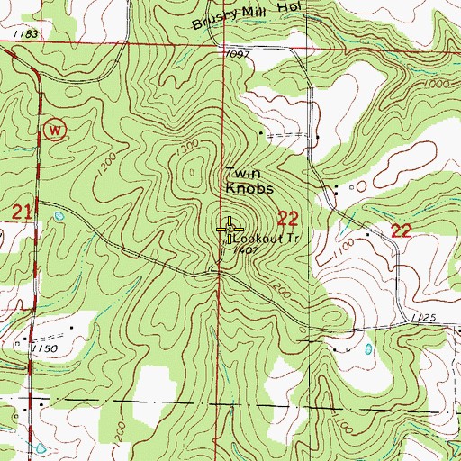 Topographic Map of Twin Knobs, MO