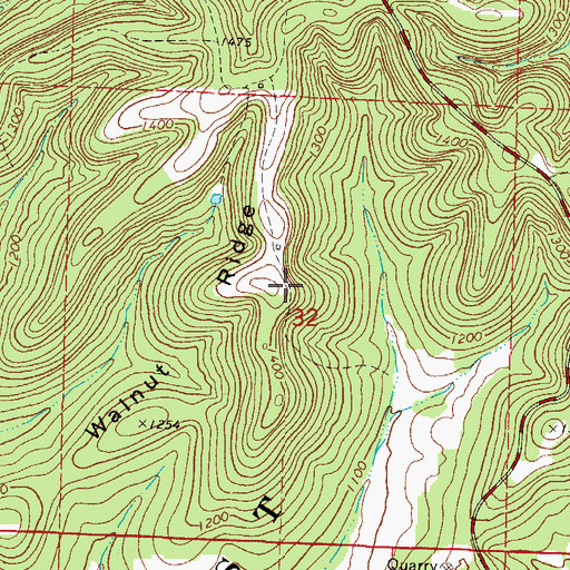 Topographic Map of Walnut Ridge, MO