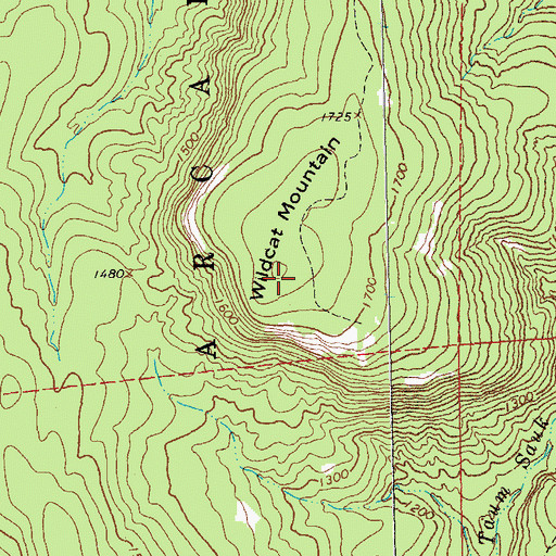 Topographic Map of Wildcat Mountain, MO