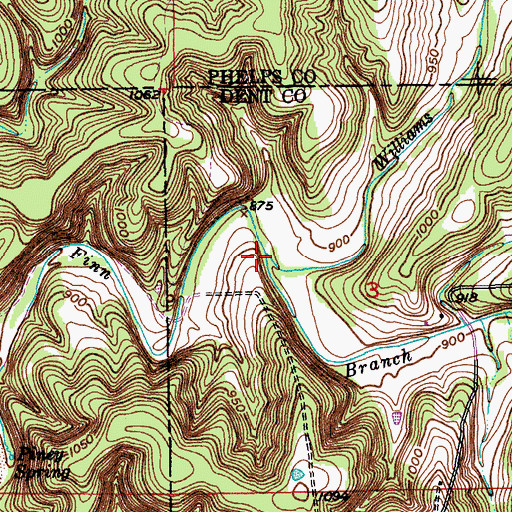 Topographic Map of Williams Creek, MO