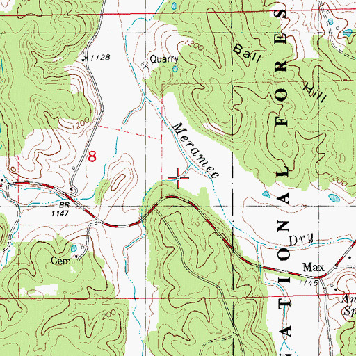 Topographic Map of Wofford Branch, MO