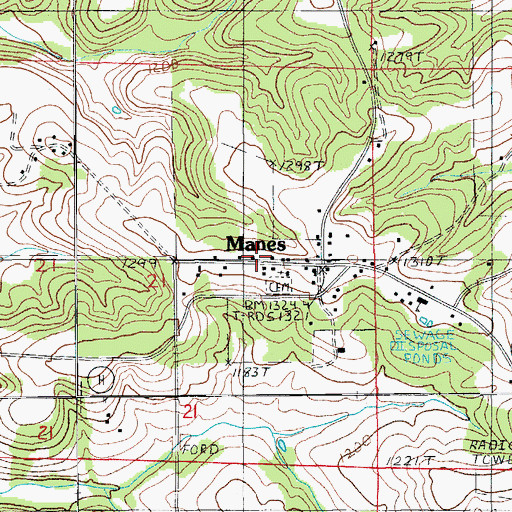 Topographic Map of Manes, MO