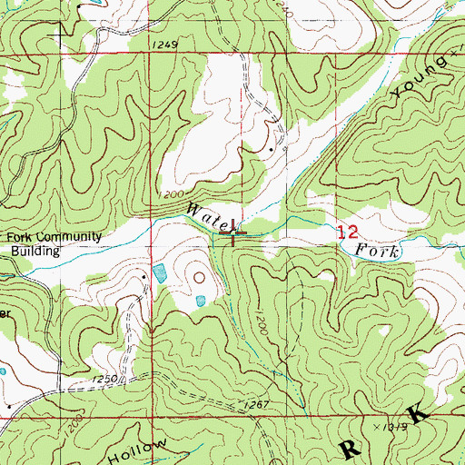 Topographic Map of Young Hollow, MO