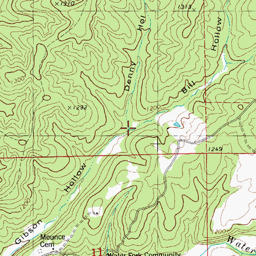 Topographic Map of Denny Hollow, MO