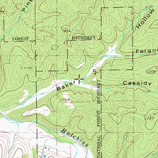 Topographic Map of Cassidy Hollow, MO