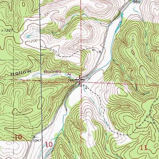 Topographic Map of Rooney Hollow, MO