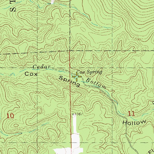 Topographic Map of Cox Spring, MO