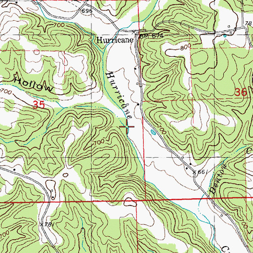 Topographic Map of Gum Hollow, MO