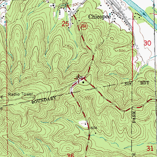 Topographic Map of Wayside Carter, MO