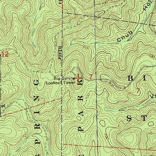 Topographic Map of Big Spring Lookout Tower, MO