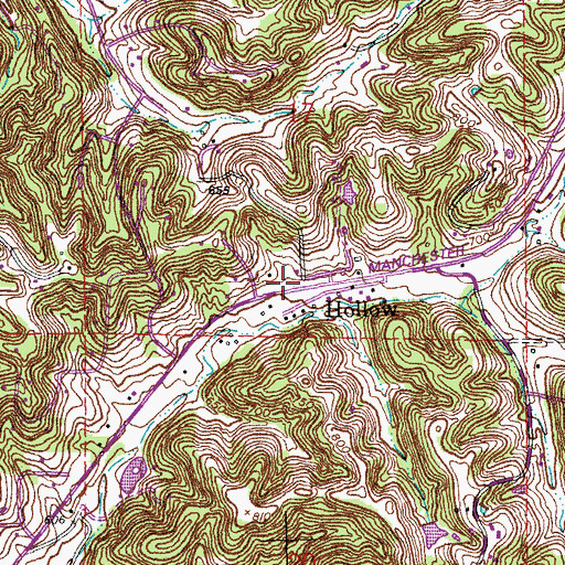 Topographic Map of Hollow, MO