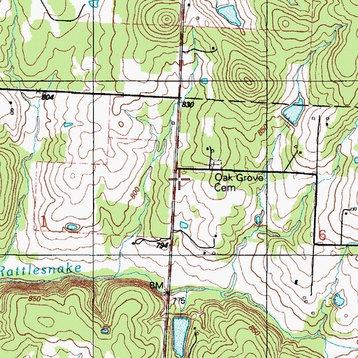 Topographic Map of Oak Grove Church, MO
