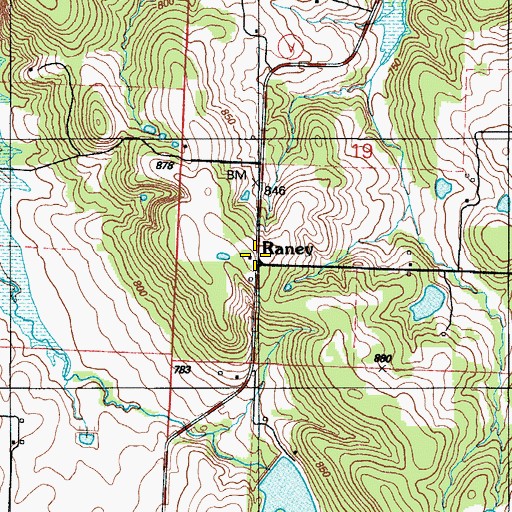 Topographic Map of Raney, MO