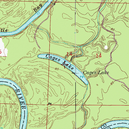 Topographic Map of Cages Lake, AR