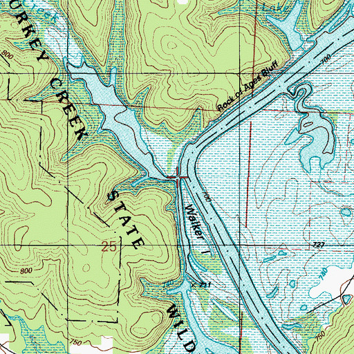 Topographic Map of Turkey Creek, MO