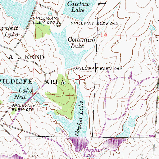 Topographic Map of Cottontail Lake, MO