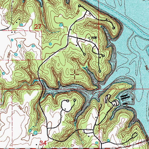 Topographic Map of Little Bluestem, MO