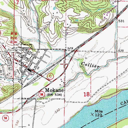 Topographic Map of East Wing Creek, MO