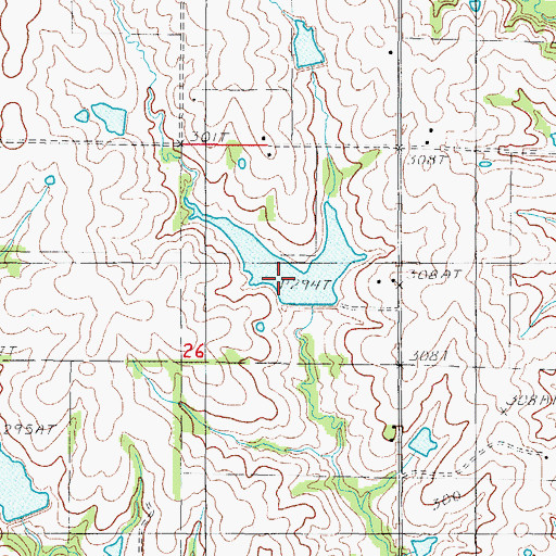 Topographic Map of Tripp Lake, MO