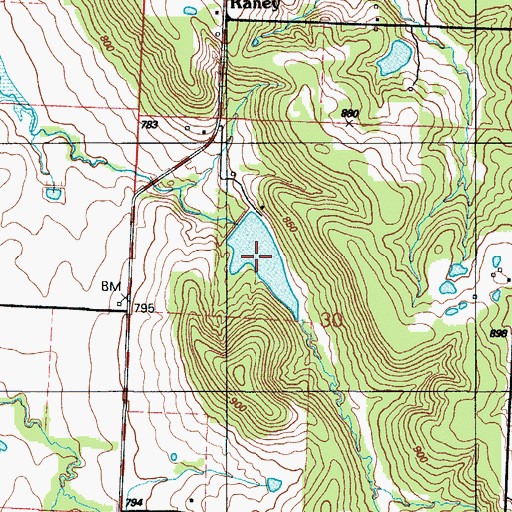 Topographic Map of Coleman Lake, MO