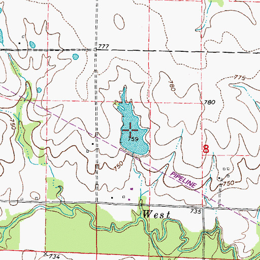 Topographic Map of Elmer Foree Lake, MO