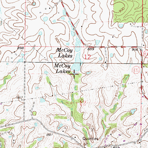 Topographic Map of McCoy Lake, MO