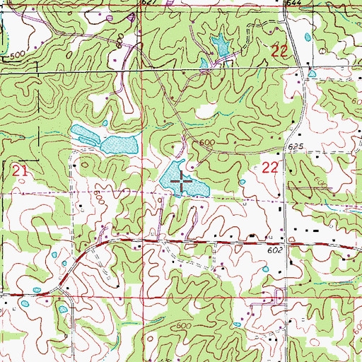 Topographic Map of Spring Branch Farm Lake, MO