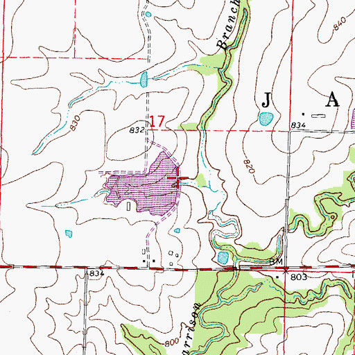 Topographic Map of Woods Dam South, MO