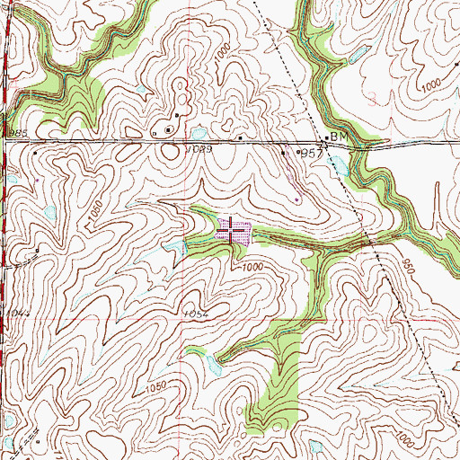 Topographic Map of Trickey Lake, MO