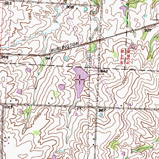 Topographic Map of Schneider Lake, MO