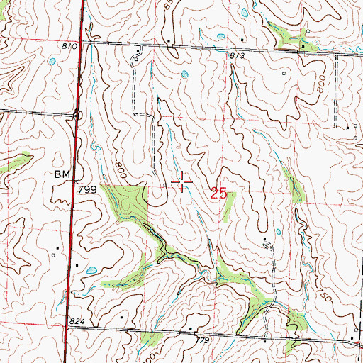 Topographic Map of Foster Lake Dam, MO