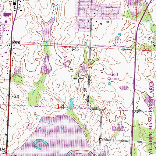 Topographic Map of B and L Electric Lake Dam, MO
