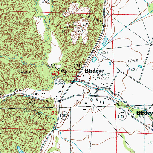 Topographic Map of Birdeye, AR