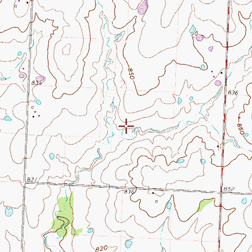 Topographic Map of Nelson Lake Dam, MO