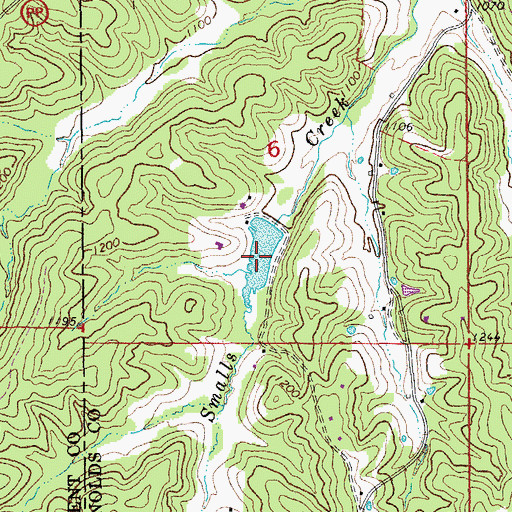 Topographic Map of Roy Davis Lake, MO