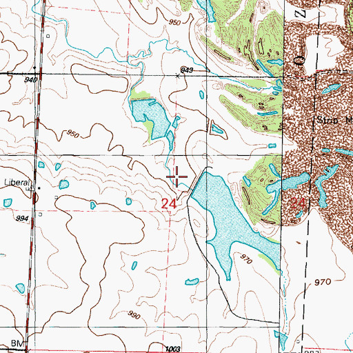 Topographic Map of Roses Lake, MO