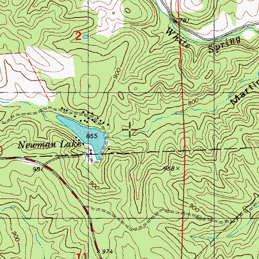 Topographic Map of Newman Lake Dam, MO