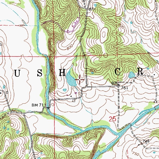 Topographic Map of Tayloe Lake Dam East, MO
