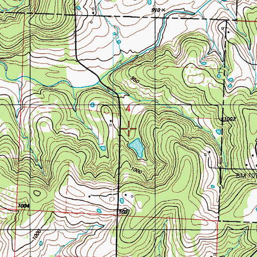 Topographic Map of Owens Lake Section 4 Dam, MO