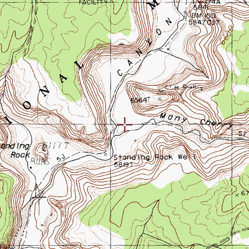 Topographic Map of Many Cherry Canyon, AZ