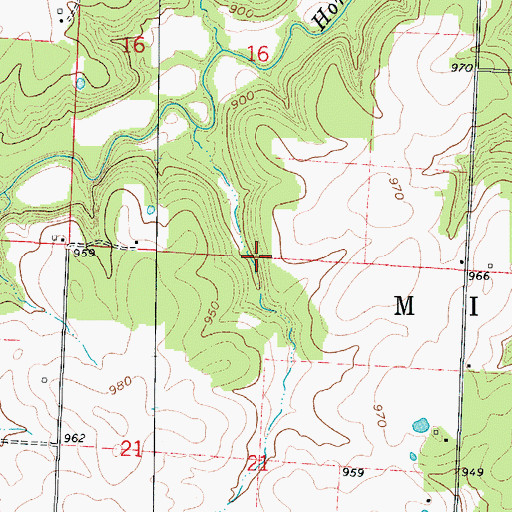 Topographic Map of Township of Milford, MO