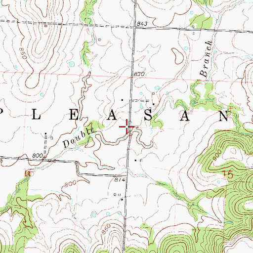 Topographic Map of Township of Pleasant Gap, MO