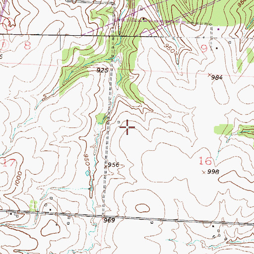 Topographic Map of Township of West Dolan, MO
