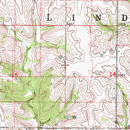 Topographic Map of Township of Lindley, MO