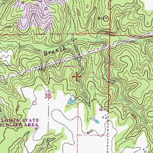 Topographic Map of Township of Danville, MO